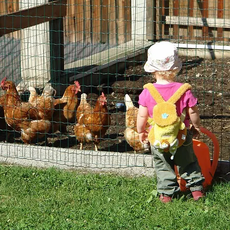 Raich Фермерский дом