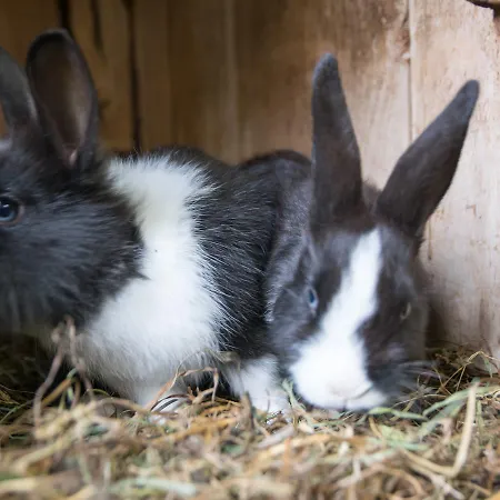 Raich Фермерский дом Йерценс