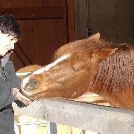 Raich Фермерский дом